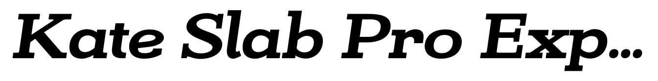 Kate Slab Pro Expanded 800 Extra Bold Italic